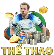 Đá Gà Mỹ
